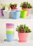 珍珠盆 Plastic woven flowerpots
